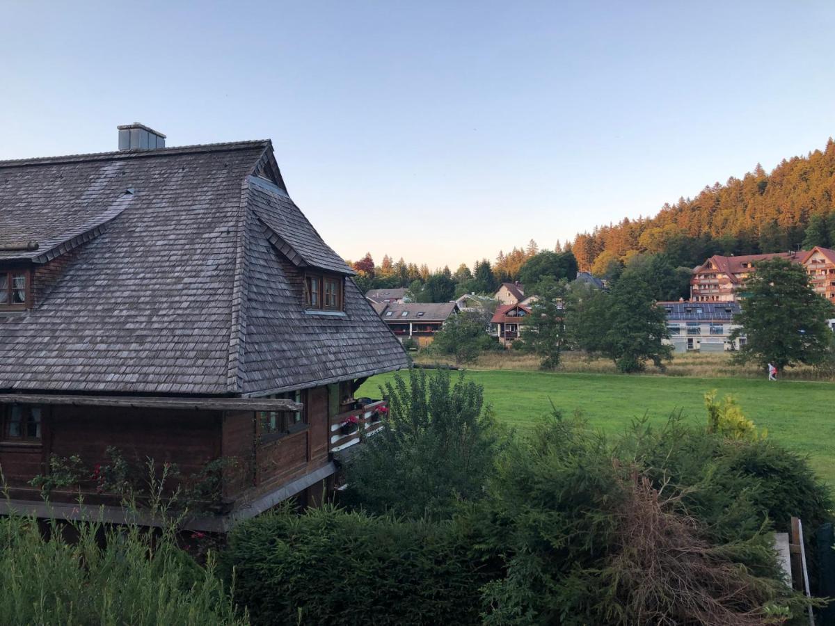 Gaestehaus Lickert Ferienwohnung Sued Feldberg Hinterzarten Eksteriør bilde